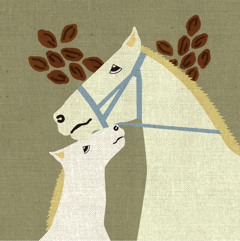 Horse