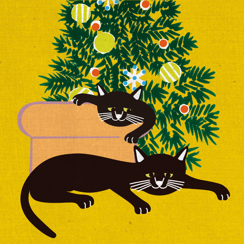 The Cat's meow