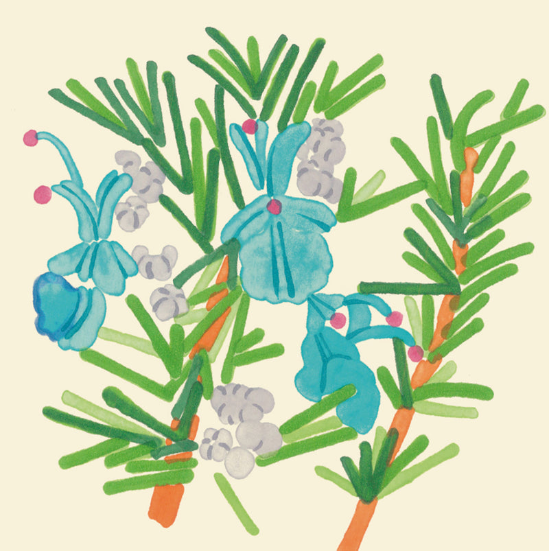 Rosemary