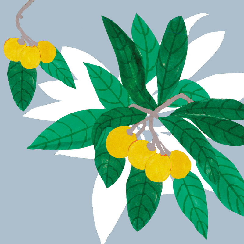 Biwa