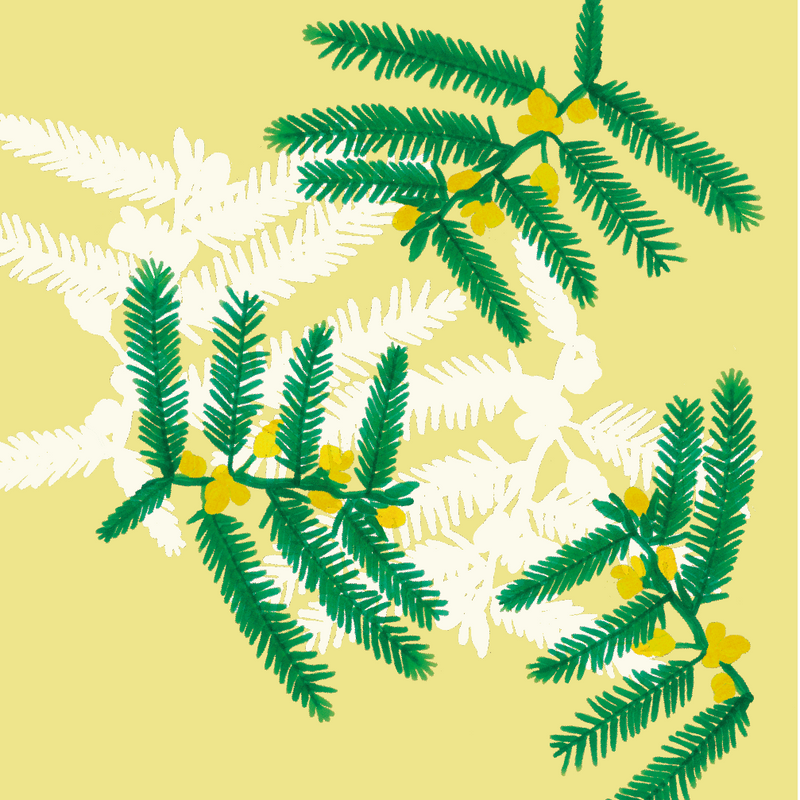 Kishimame
