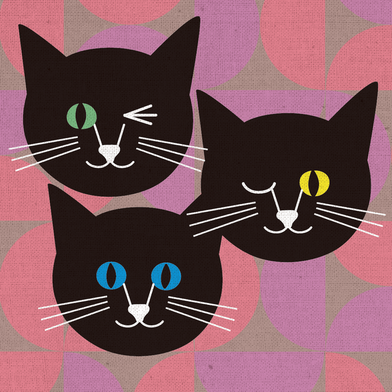 The Cat's meow