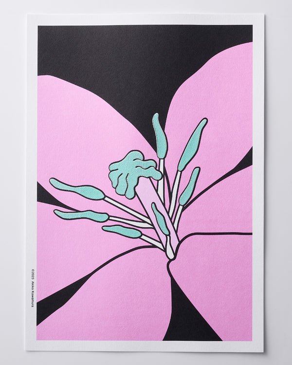 Lily Pink / Card