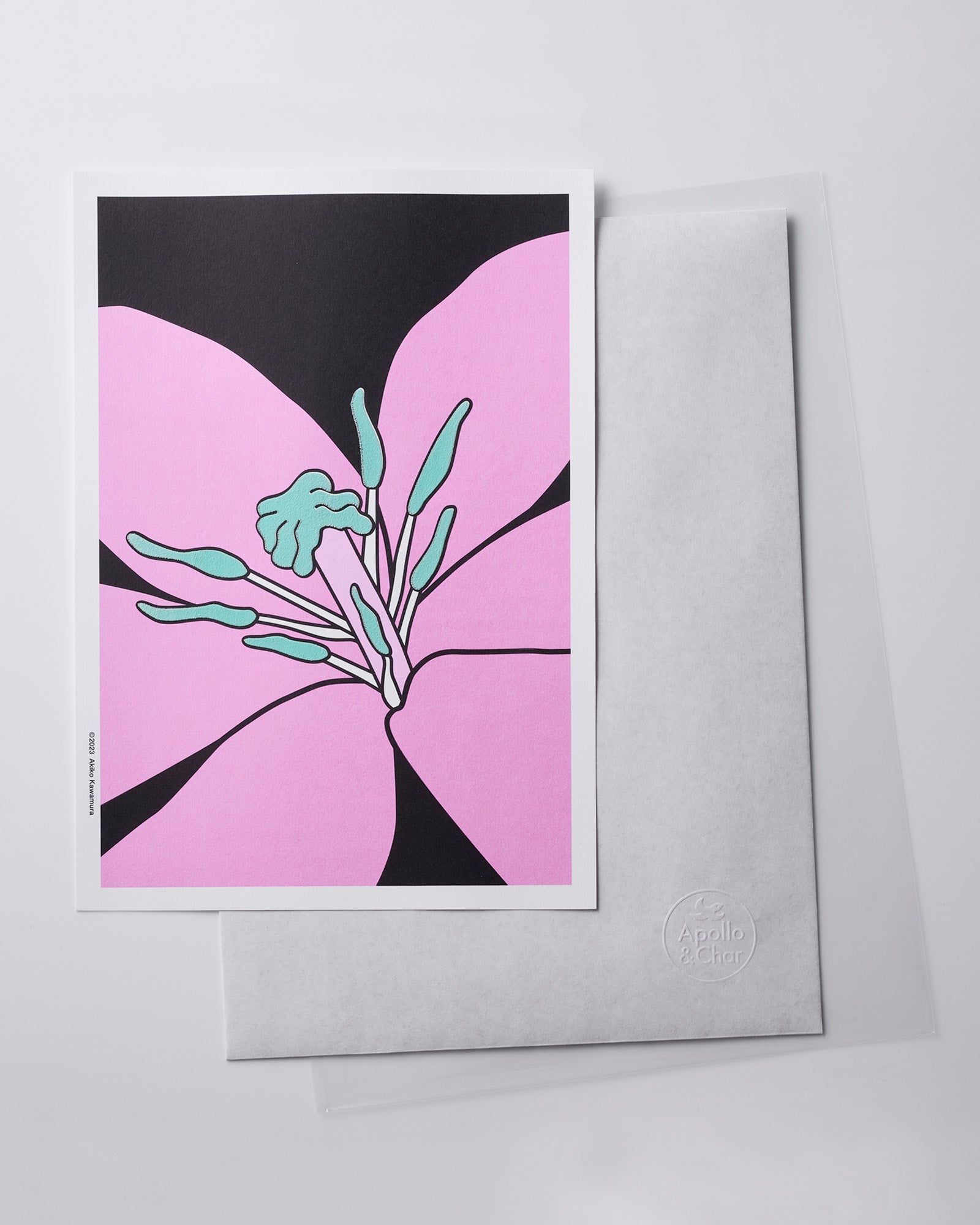 Lily Pink / Card