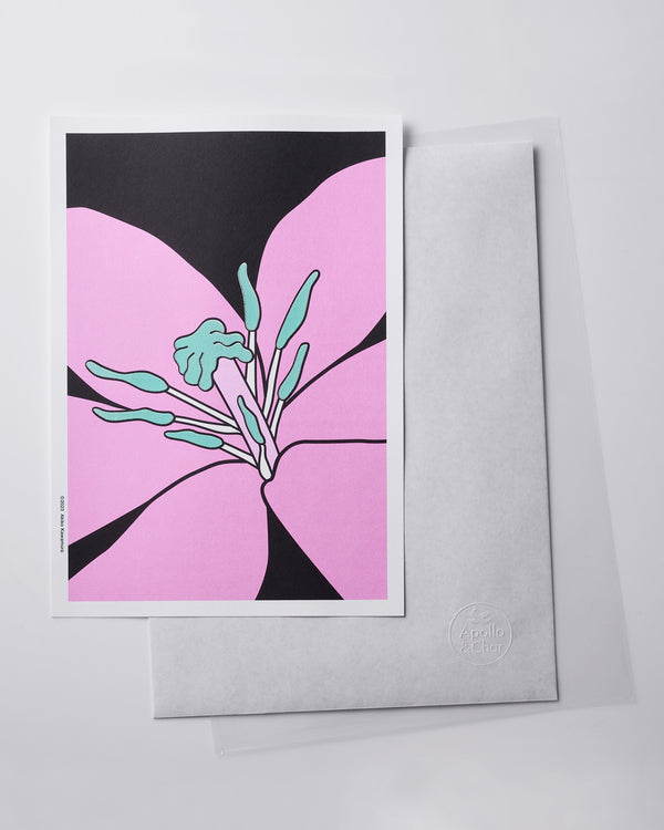 Lily Pink / Card