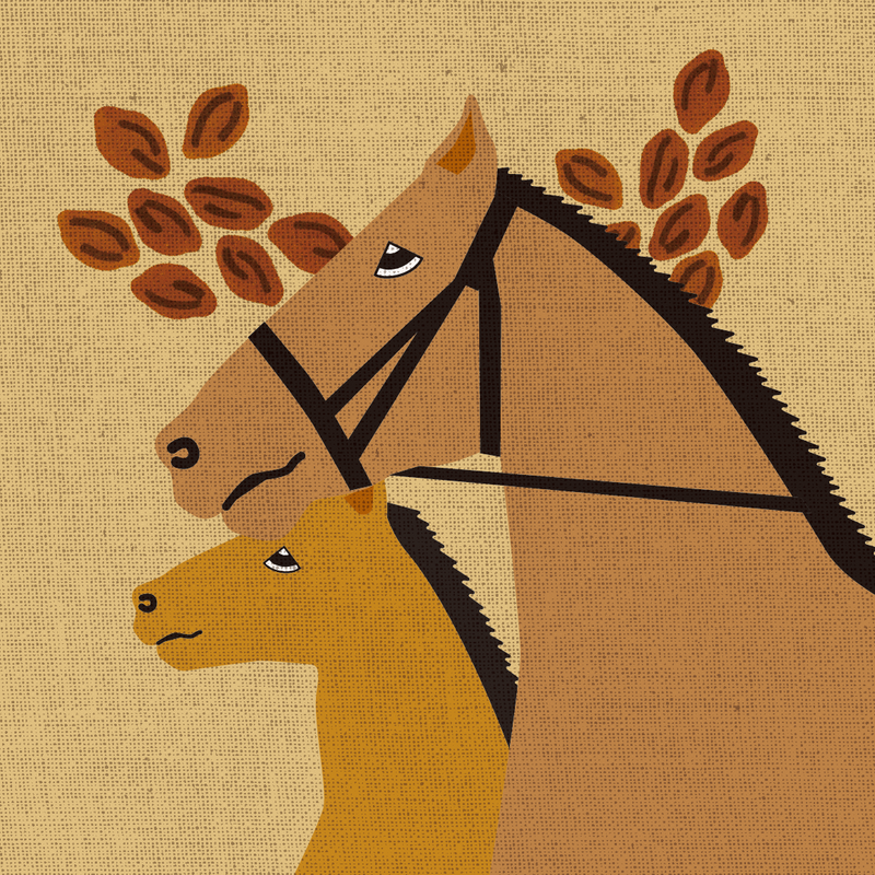 Horse